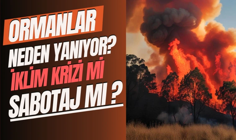 Ormanlar neden yanıyor: İklim krizi mi, sabotaj mı?