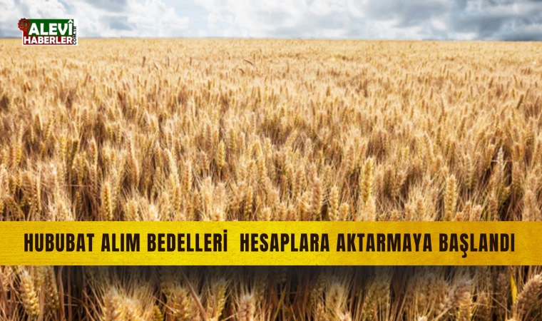 TMO, hububat alım bedellerini hesaplara aktarmaya başladı