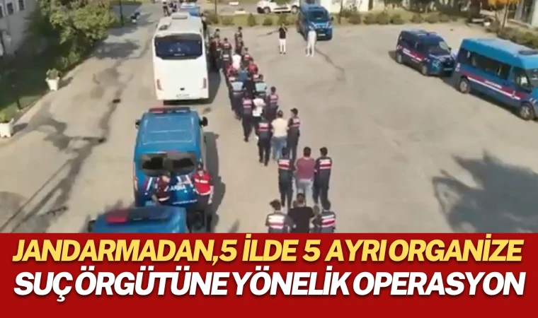 Jandarmadan, 5 İlde 5 ayrı organize suç örgütüne yönelik operasyon