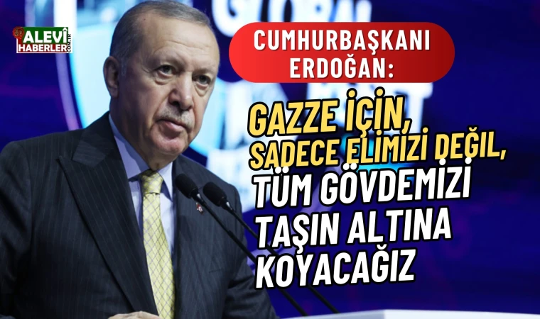 Erdoğan: Sadece elimizi değil tüm gövdemizi taşın altına koyacağız