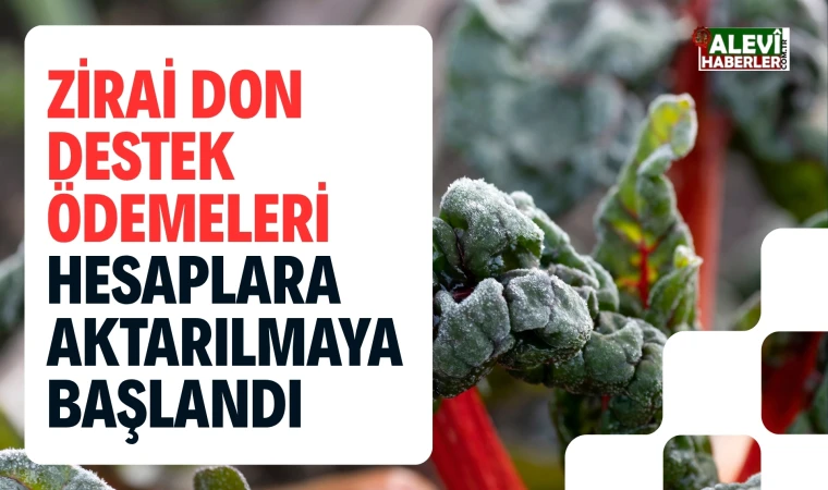 Zirai don destek ödemeleri hesaplara aktarılmaya başlandı