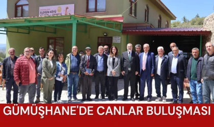 Gümüşhane'de canlar buluşması
