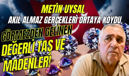 Metin Uysal yazdı: Türkiye'nin değerlendirilemeyen değerli kaynakları