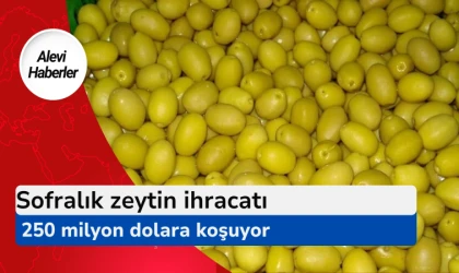 Sofralık zeytin ihracatı 250 milyon dolara koşuyor