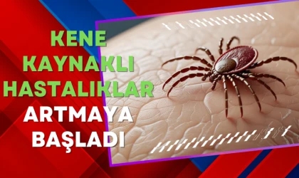 Kene kaynaklı hastalıklar artmaya başladı