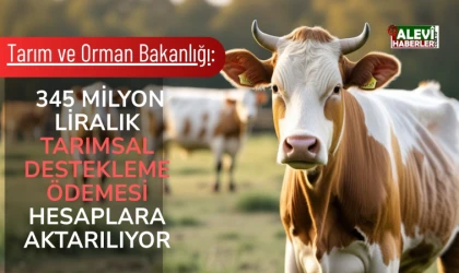 Tarımsal Destek Ödemeleri hesaplara aktarılıyor
