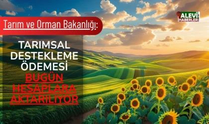 Tarımsal destekleme ödemesi hesaplara yatırılıyor