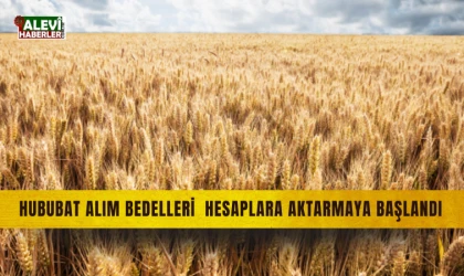 TMO, hububat alım bedellerini hesaplara aktarmaya başladı