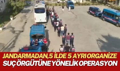 Jandarmadan, 5 İlde 5 ayrı organize suç örgütüne yönelik operasyon