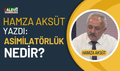 Hamza Aksüt yazdı: Asimilatörlük nedir?