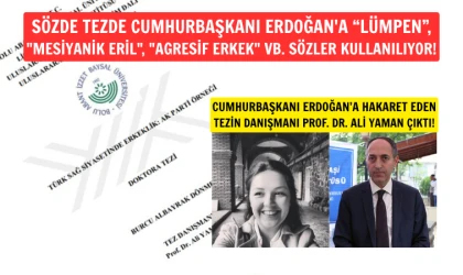 Cumhurbaşkanı Erdoğan'a hakaret etti, doktor unvanını kaptı!