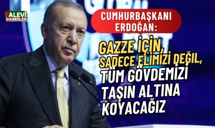 Erdoğan: Sadece elimizi değil tüm gövdemizi taşın altına koyacağız