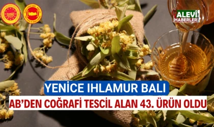 Yenice ıhlamur balı coğrafi işaret aldı